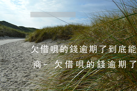 欠借唄的錢逾期了到底能不能協(xié)商-欠借唄的錢逾期了到底能不能協(xié)商還款