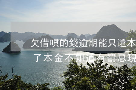 欠借唄的錢逾期能只還本金嗎(借唄逾期只還了本金不知道有罰息現(xiàn)在可以不還嗎)
