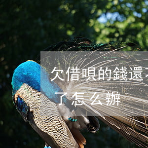 欠借唄的錢還不上了怎么辦(借唄的錢還不起了怎么辦)