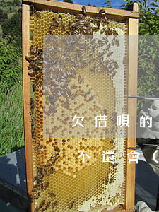 欠借唄的錢還不上會(huì)坐牢嗎(借唄不還會(huì)坐牢嗎?)