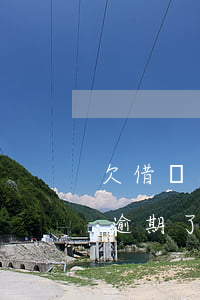 欠借唄花唄7千多還不起(支付寶花唄借唄都逾期了總欠款8萬多)