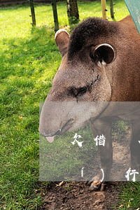 欠借唄花唄一千多會(huì)被執(zhí)行嗎(花唄,借唄逾期1萬多塊錢法院會(huì)受理嗎)