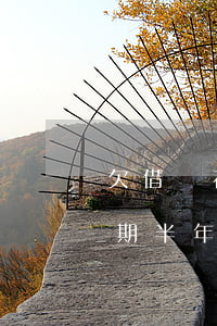 欠借唄花唄兩萬會上門(花唄借唄欠兩萬多逾期半年了,他們真的會上門嗎?)