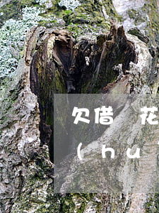 欠借唄花唄合計(jì)1萬(wàn)會(huì)被起訴嗎