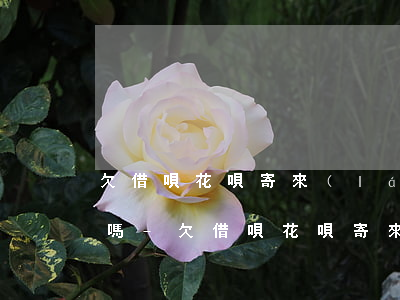 欠借唄花唄寄來(lái)的律師函是真的嗎-欠借唄花唄寄來(lái)的律師函是真的嗎嗎
