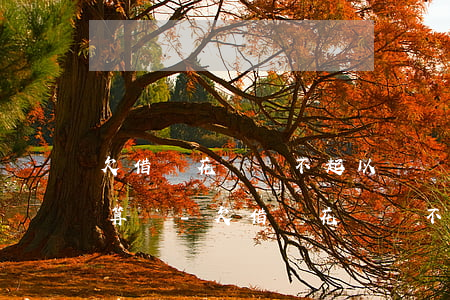 欠借唄花唄還不起以貸養(yǎng)貸劃算嗎-欠借唄花唄還不起以貸養(yǎng)貸劃算嗎安全嗎