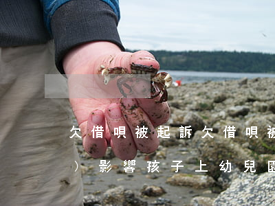 欠借唄被起訴(欠借唄被起訴,真的會(huì)影響孩子上幼兒園嗎)