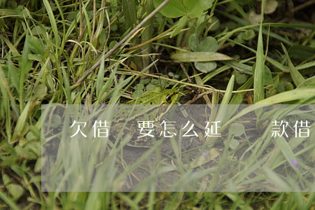欠借唄要怎么延遲還款(借唄如何推遲還款)
