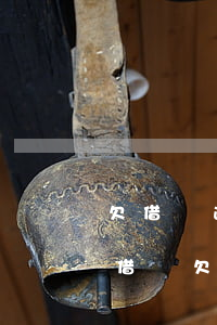欠借唄逾期3個(gè)月還了500塊錢(借唄欠一萬多逾期三個(gè)月了)