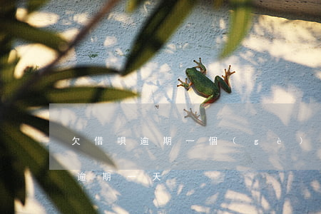 欠借唄逾期一個(gè)月怎么辦(借唄逾期逾期一天)