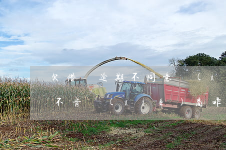 欠借唄逾期不同意協(xié)商(借唄逾期不肯協(xié)商咋辦)