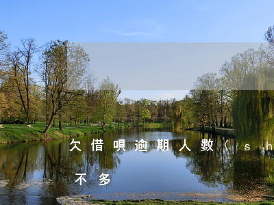欠借唄逾期人數(shù)(借唄逾期的人多不多)