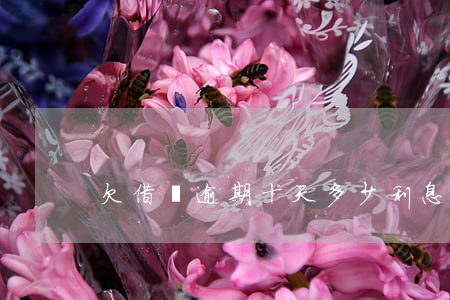 欠借唄逾期十天多少利息(借唄逾期了十天)