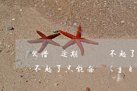 欠借唄逾期幾萬還不起了(欠借唄逾期幾萬還不起了只能每個(gè)月還一點(diǎn)點(diǎn))
