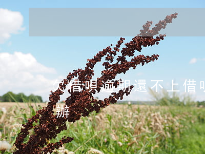 欠借唄逾期還不上(借唄貸款逾期還不上怎么辦)