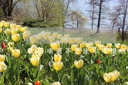 欠借唄還不上坐牢嗎(借唄還不上會不會坐牢)
