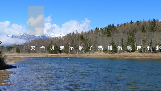 欠借唄還不起了(螞蟻借唄還不起了)