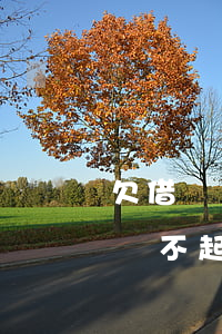 欠借唄還不起還能跑餓了么外賣嗎-欠借唄還不起還能跑餓了么外賣嗎安全嗎