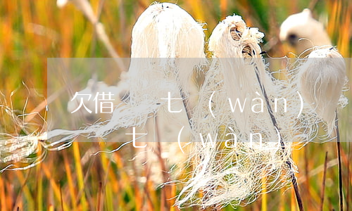欠借唄錢七萬(wàn)沒錢還怎么辦(欠借唄錢七萬(wàn)沒錢還怎么辦)