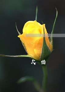 欠借唄錢不還會做牢嗎