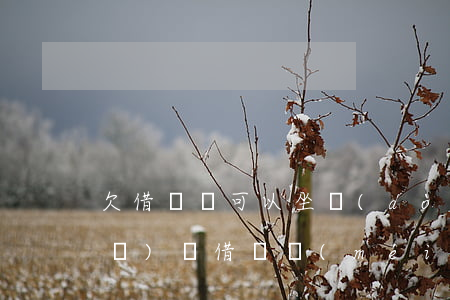 欠借唄錢可以坐動(dòng)車飛機(jī)嗎(借唄沒(méi)還會(huì)不會(huì)影響坐飛機(jī)和高鐵)