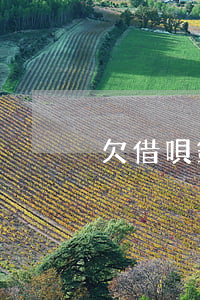 欠借唄錢可否協(xié)商只還本金