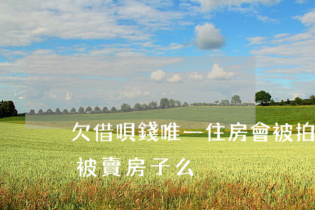 欠借唄錢唯一住房會被拍賣嗎(借唄還不上會被賣房子么)