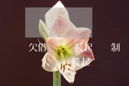 欠借唄錢會被起訴強制執(zhí)行么(借唄欠錢會被起訴嗎?)