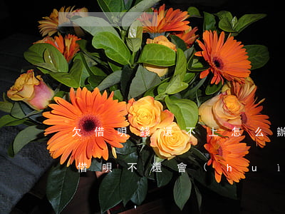欠借唄錢還不上怎么辦會(huì)坐牢嗎(借唄不還會(huì)不會(huì)坐牢)