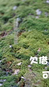 欠借唄預期兩年能坐飛機嗎(花唄借唄兩年沒還可以坐飛機嗎)