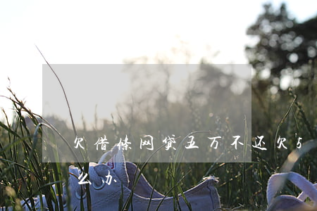 欠借条网贷五万不还(欠5万有欠条不还我怎么办)
