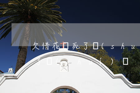欠借花唄死了誰(shuí)還(欠借花唄死了誰(shuí)還)