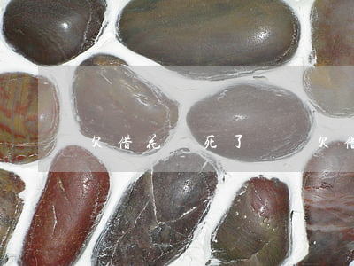 欠借花唄死了誰還(欠借花唄死了誰還)