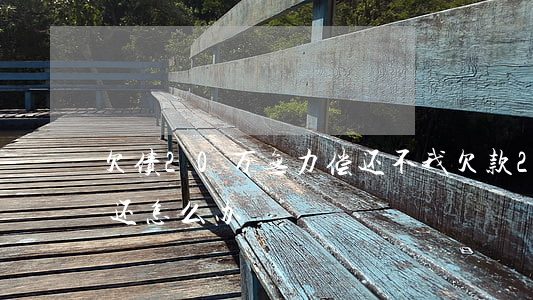 欠债20万无力偿还不 我欠款20万无力偿还怎么办