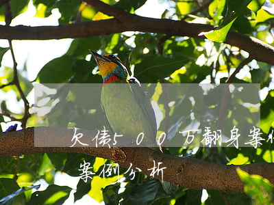 欠债500万翻身案例-欠债500万翻身案例分析