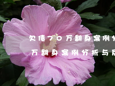 欠债70万翻身案例分析与反思-欠债70万翻身案例分析与反思