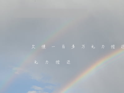 欠债一百多万无力偿还怎么办(欠债800万无力偿还)