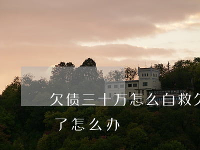 欠债三十万怎么自救(欠了100万走投无路了怎么办)