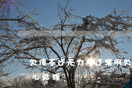 欠债不还无力偿还案例(欠债无力偿还法院怎么处理)