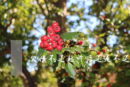 欠债不还起诉后还是不还怎么办