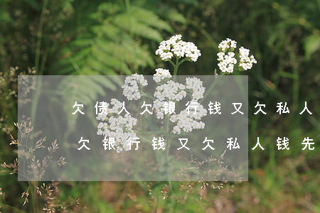 欠债人欠银行钱又欠私人钱先还谁-欠债人欠银行钱又欠私人钱先还谁的钱