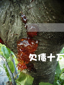 欠债十万怎么办-欠债几十万我该怎么办