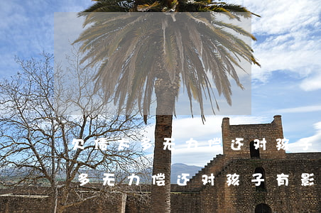 欠债太多无力偿还对孩子有影响吗-欠债太多无力偿还对孩子有影响吗知乎
