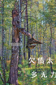 欠债太多无力偿还能不能只还本金-欠债太多无力偿还能不能只还本金呢