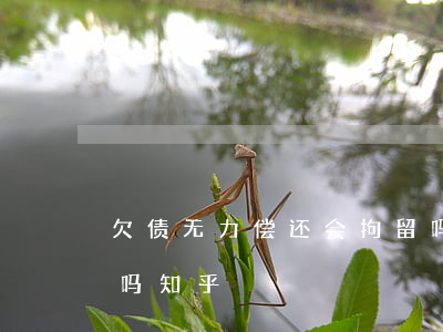 欠债无力偿还会拘留吗(欠债无力偿还会拘留吗知乎)