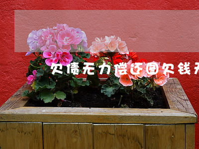 欠债无力偿还图(欠钱无力偿还有什么后果)