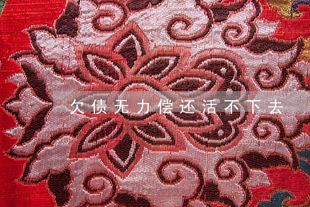 欠债无力偿还活不下去
