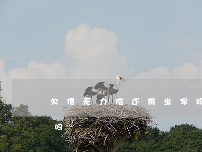 欠债无力偿还用坐牢吗 欠债无力偿还用坐牢吗
