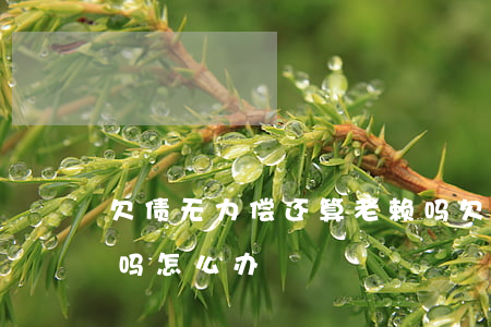 欠债无力偿还算老赖吗(欠债无力偿还算老赖吗怎么办)
