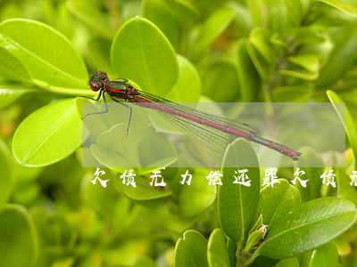 欠债无力偿还罪(欠债无力偿还罪立案标准)